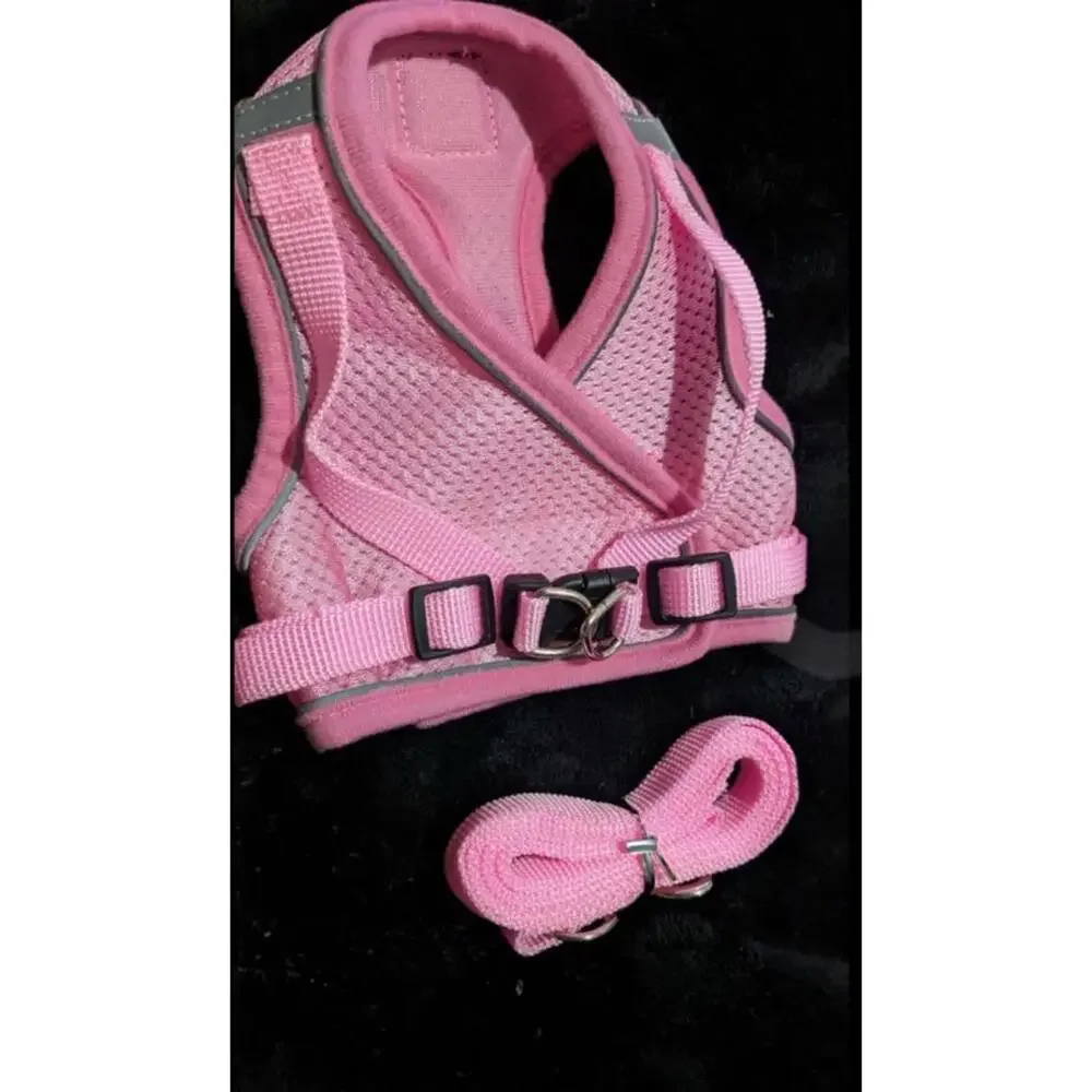 cat leash